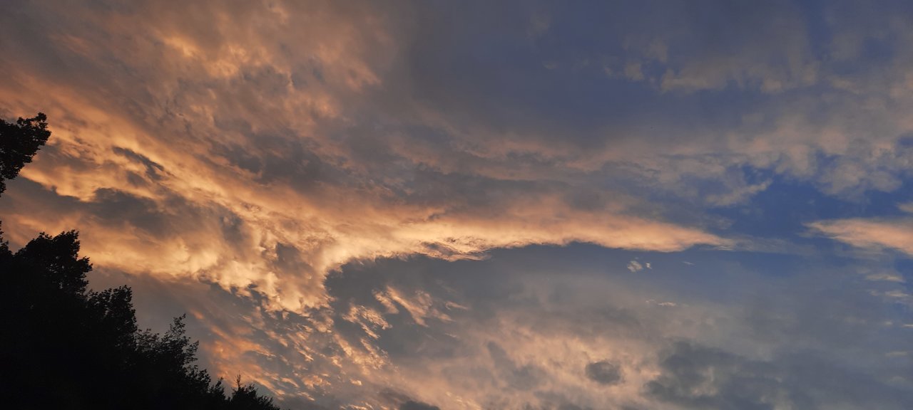 20220726_204852.jpg