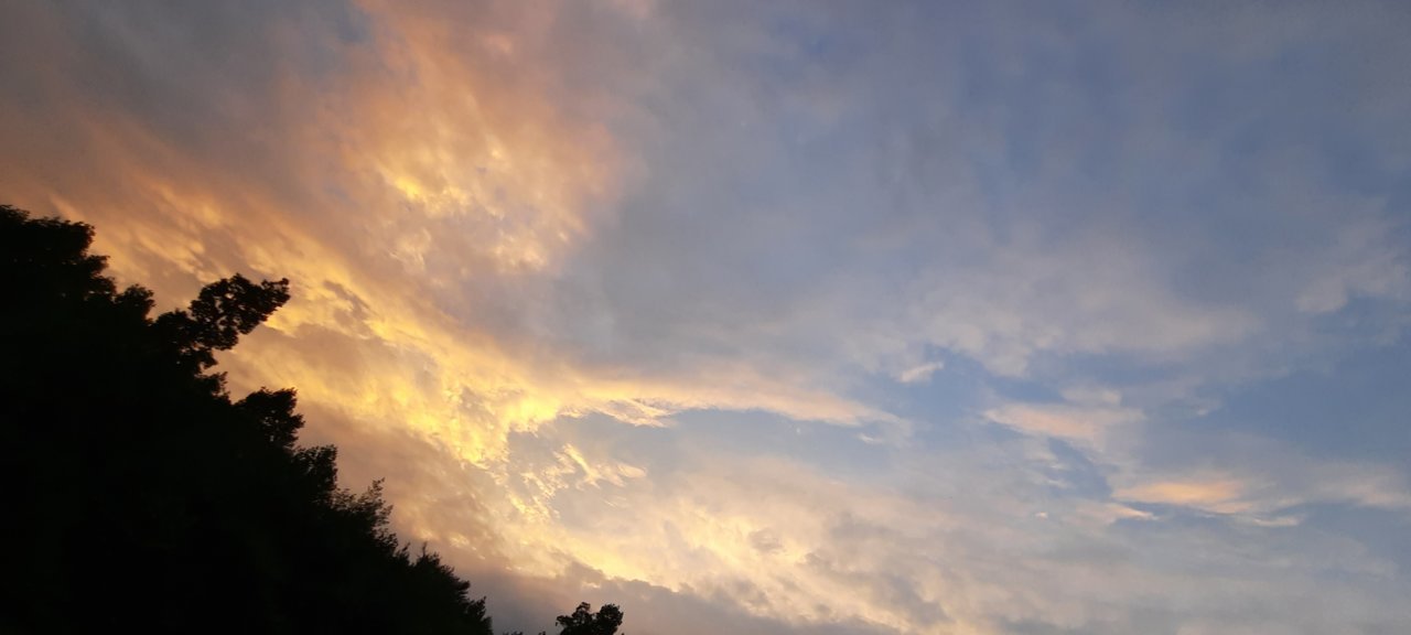 20220726_205014.jpg