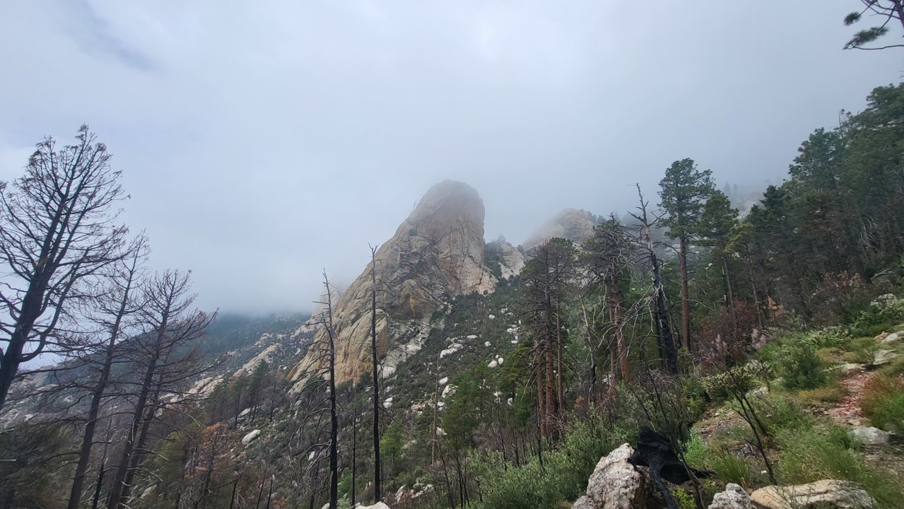 20220727_095426.jpg