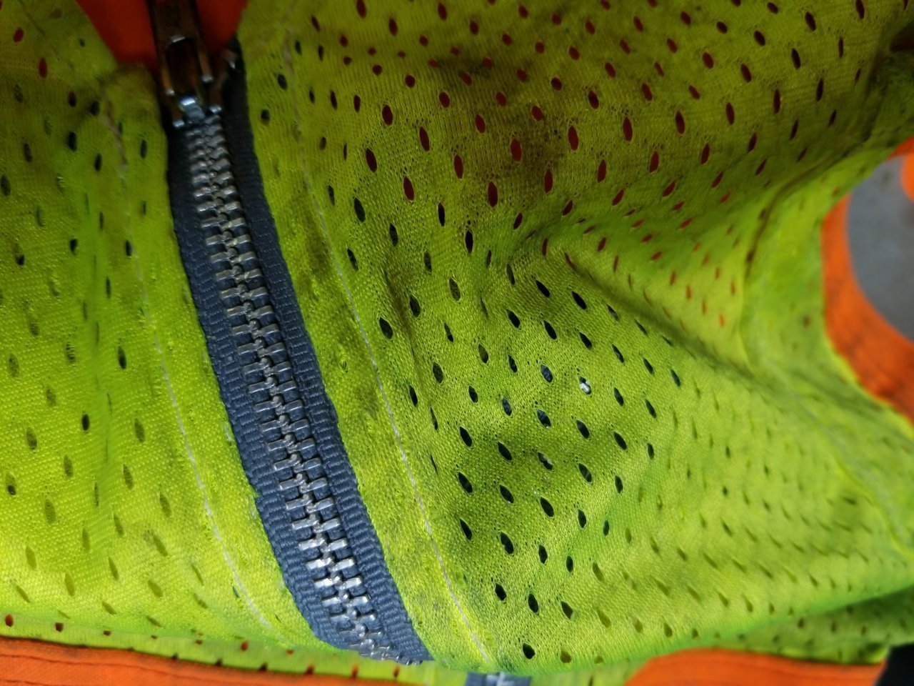 20220728_124449.jpg
