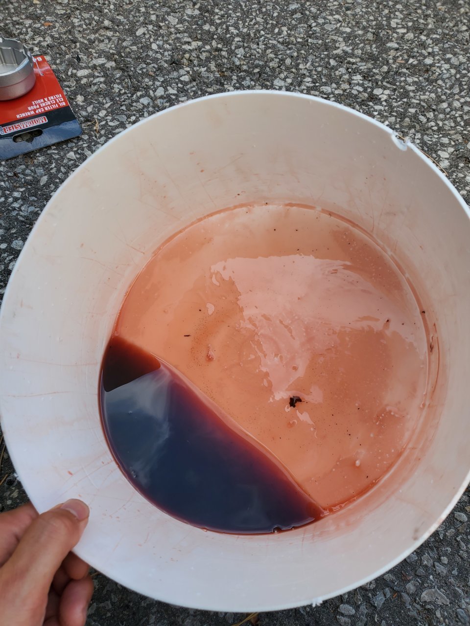 20220728_170515.jpg
