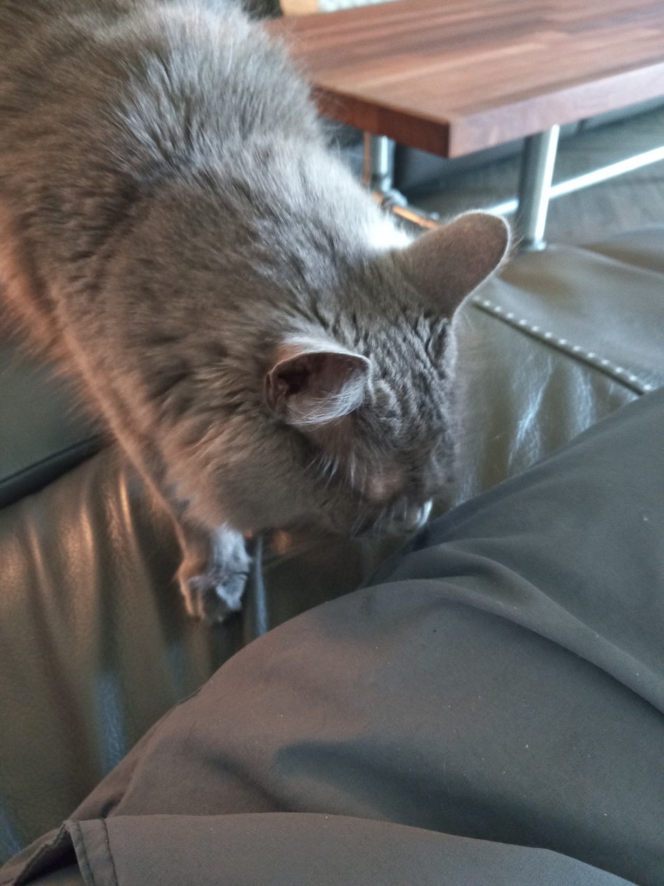 20220730_170008.jpg