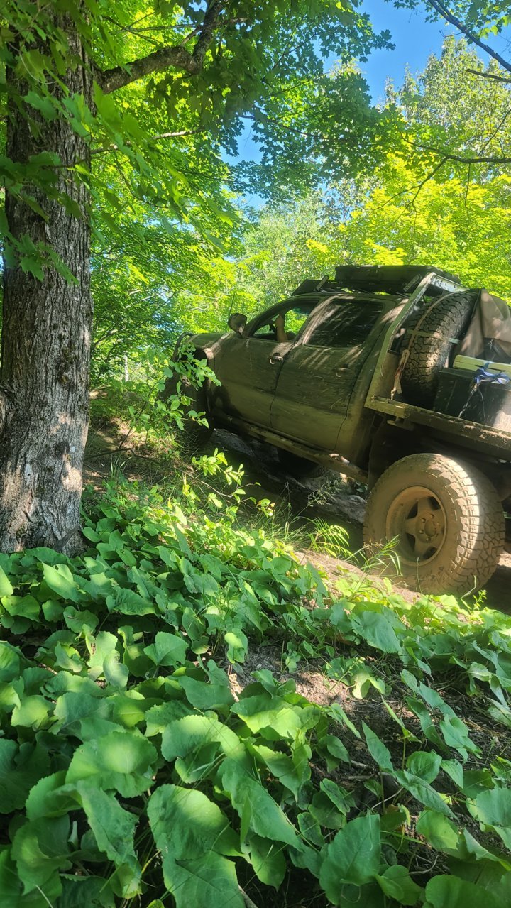 20220801_093219.jpg