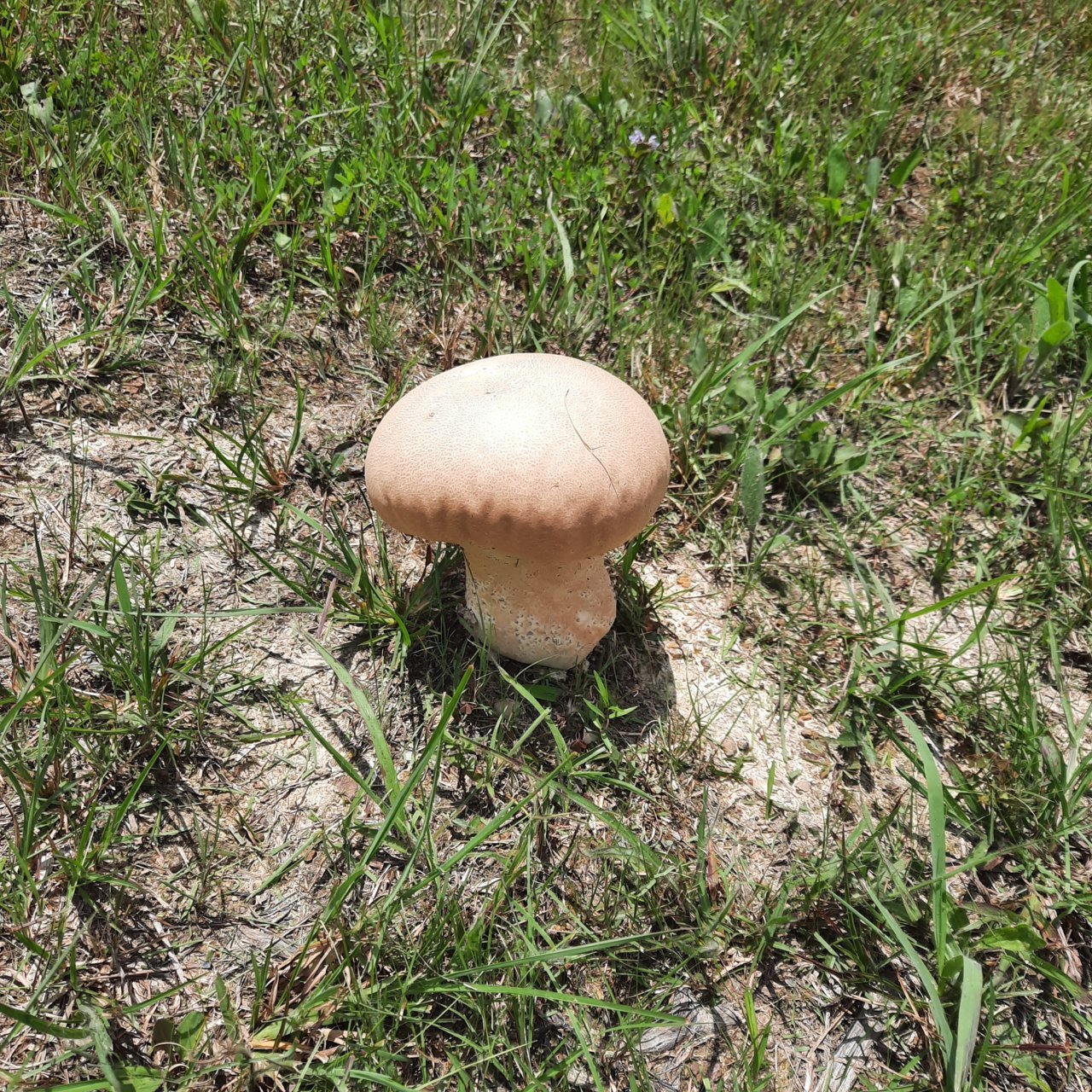 20220803_133421.jpg