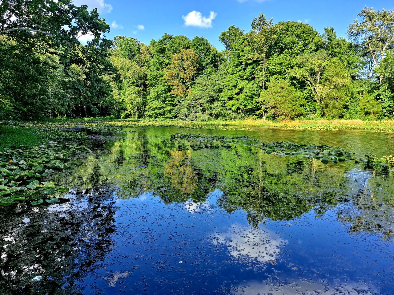 20220803_174106.jpg