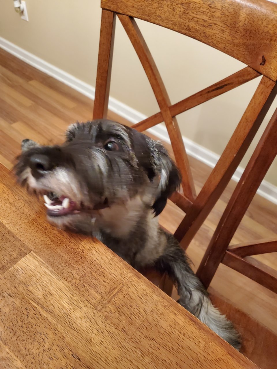 20220805_205747.jpg
