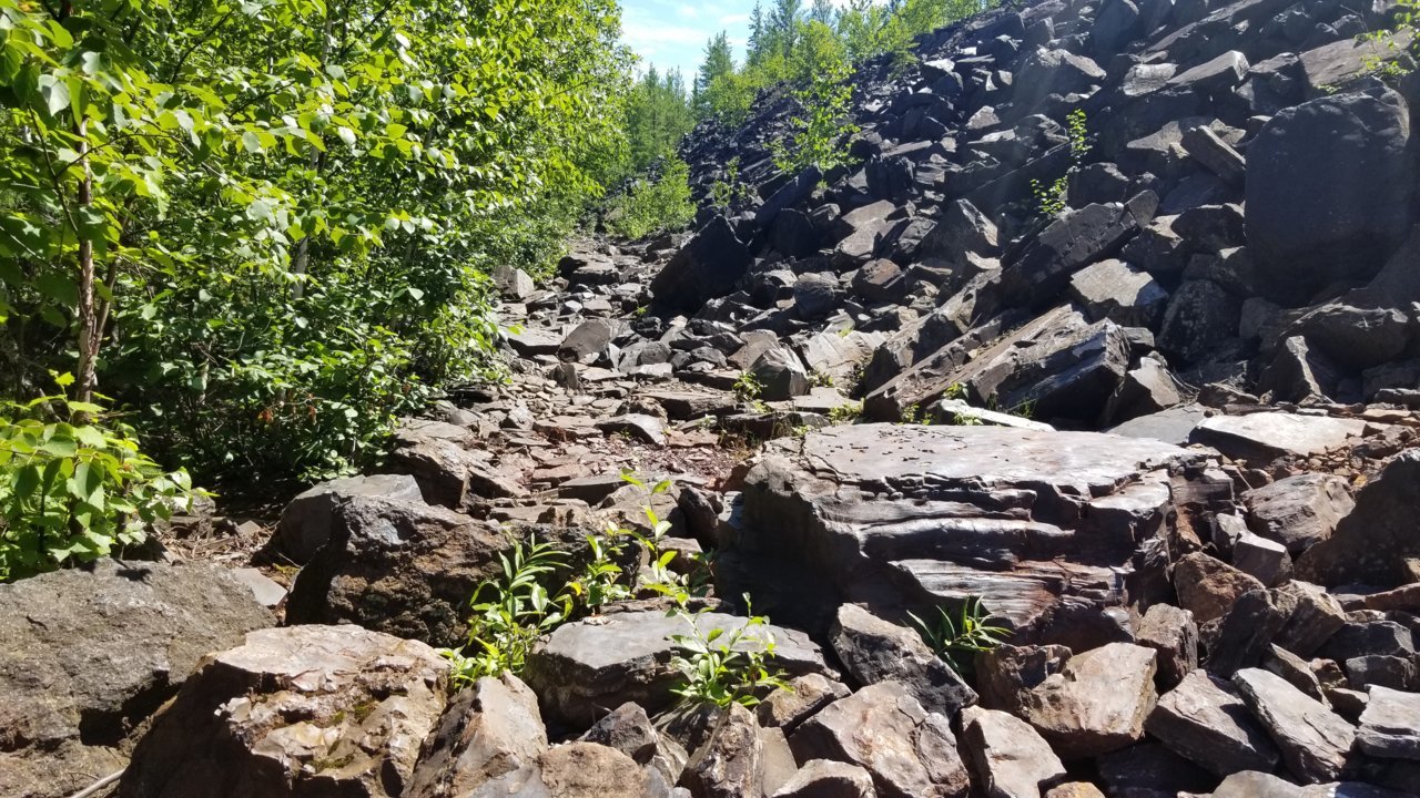 20220806_142514.jpg