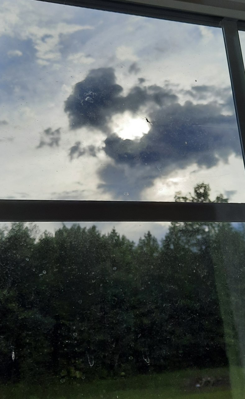 20220806_185659.jpg
