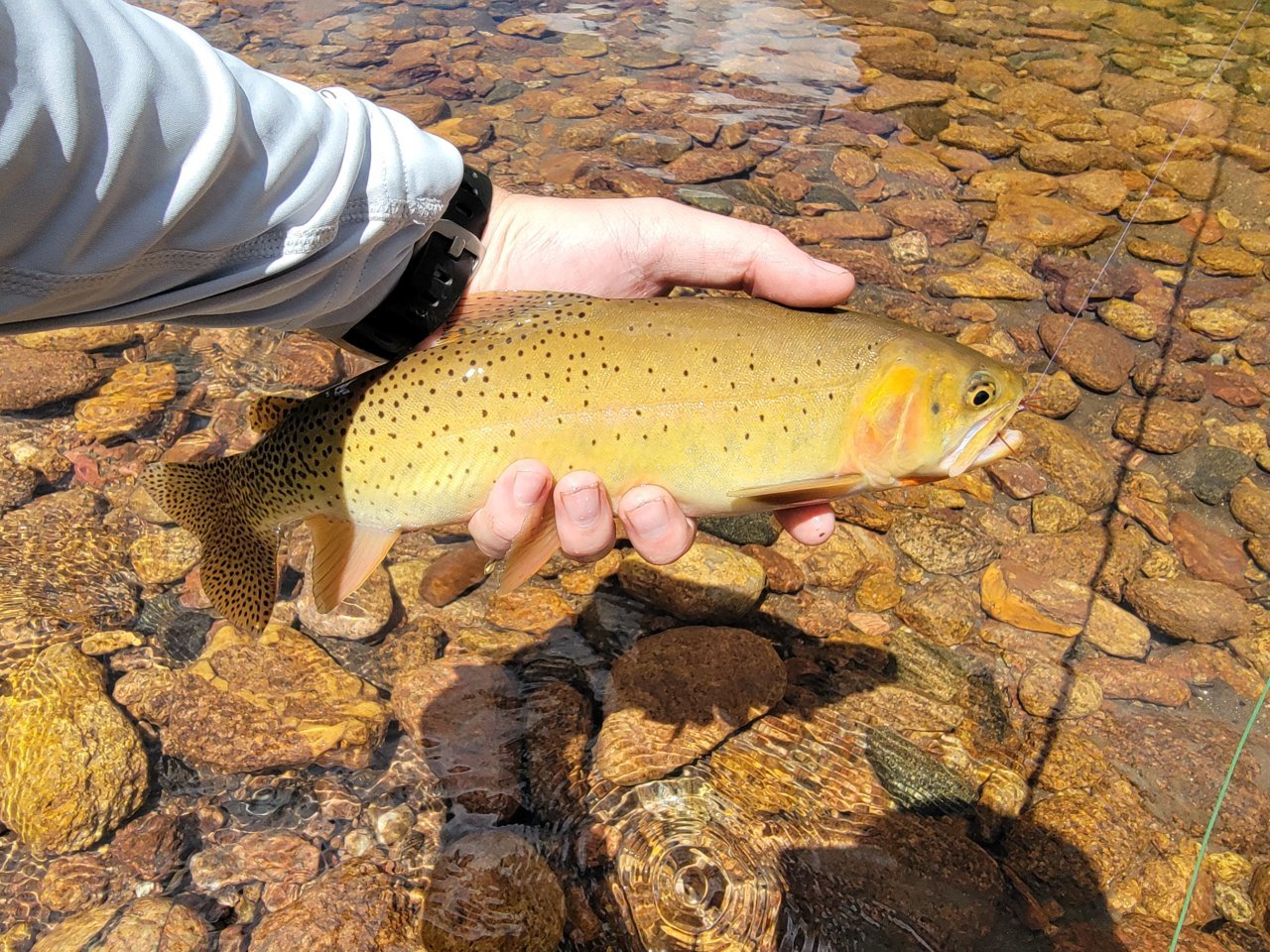 20220807_124819.jpg
