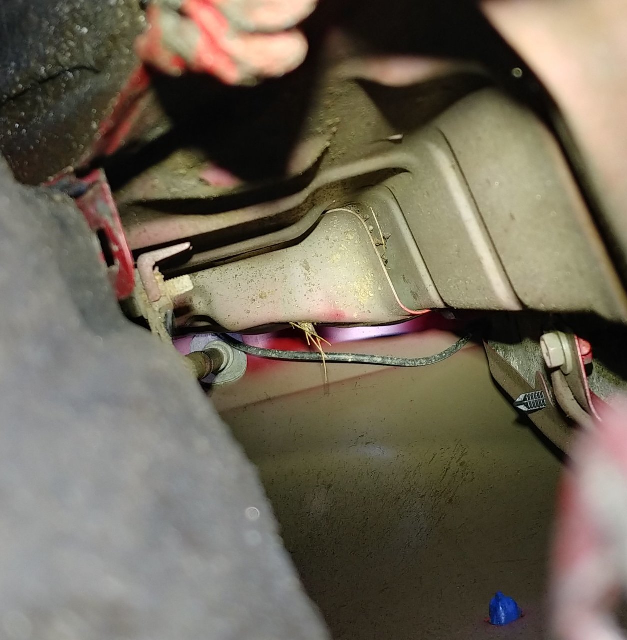 20220808_184034_HDR[1].jpg