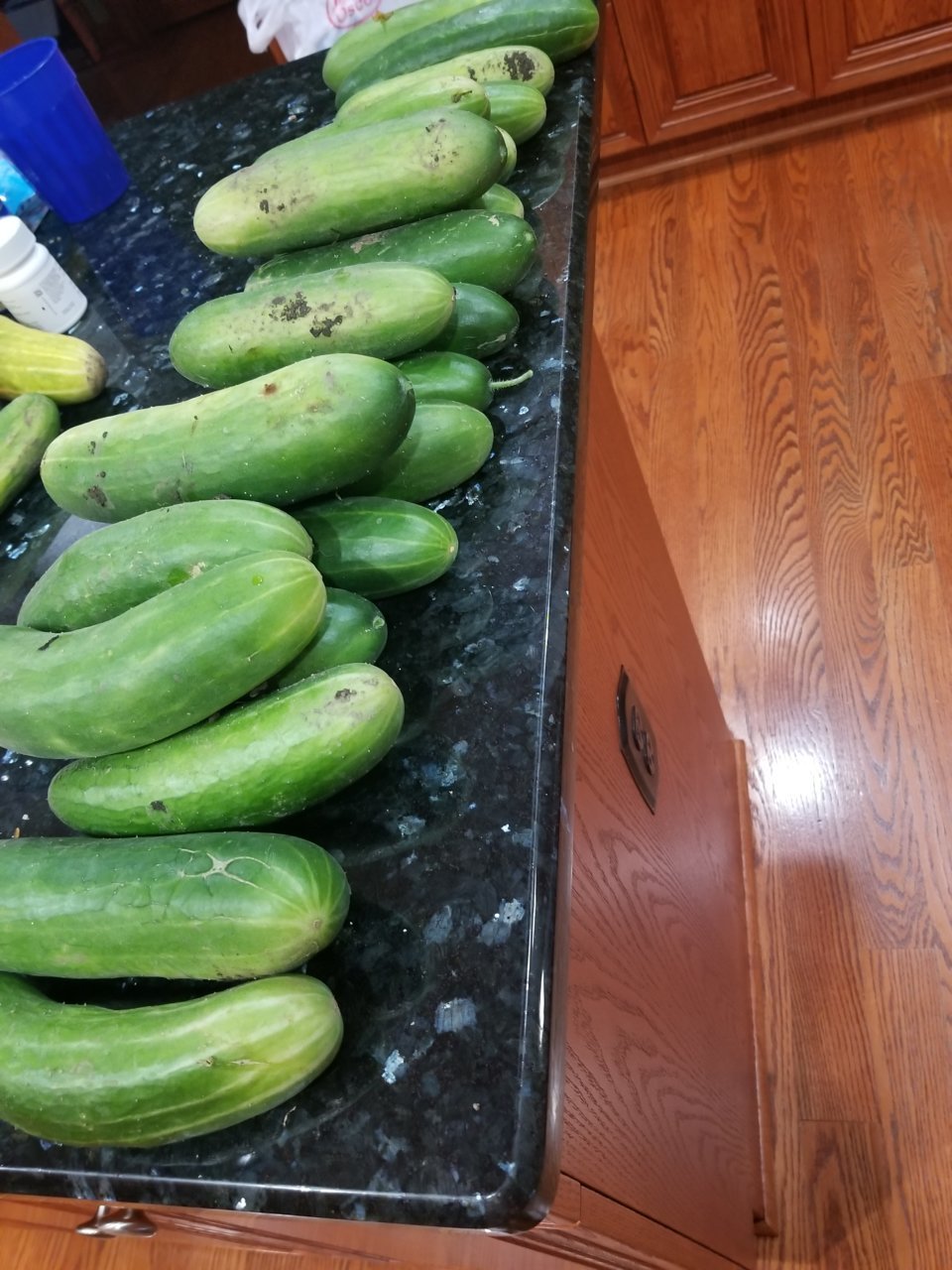 20220808_192838.jpg
