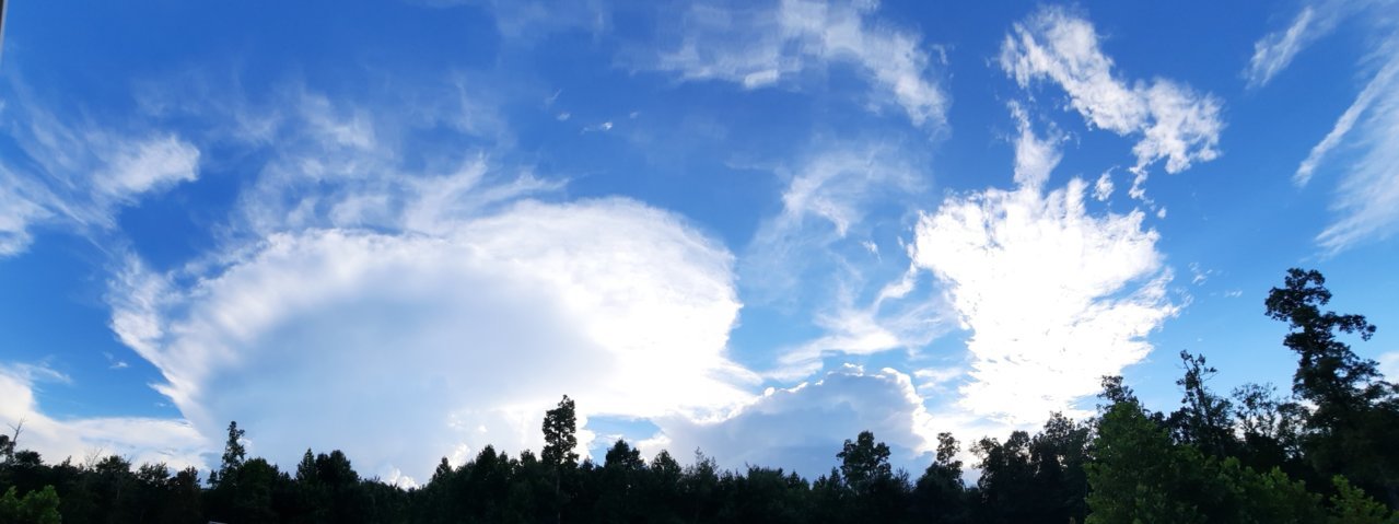20220809_191714.jpg