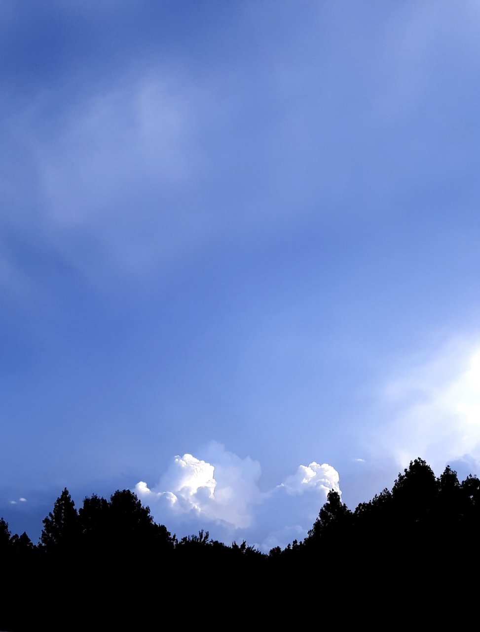 20220809_192415.jpg