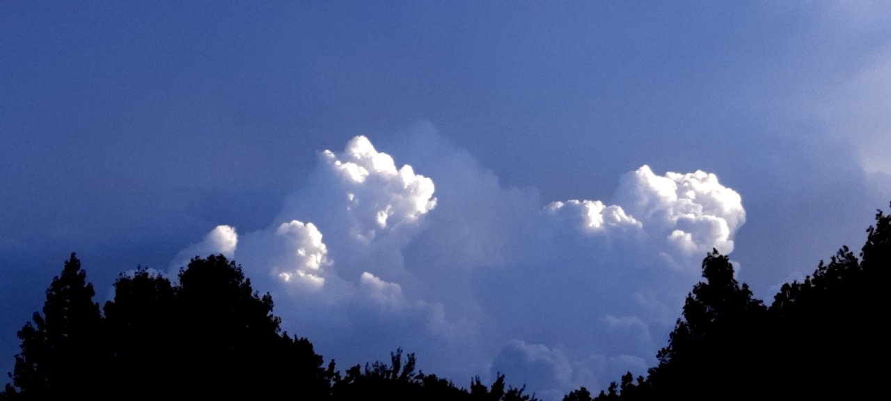 20220809_192518.jpg