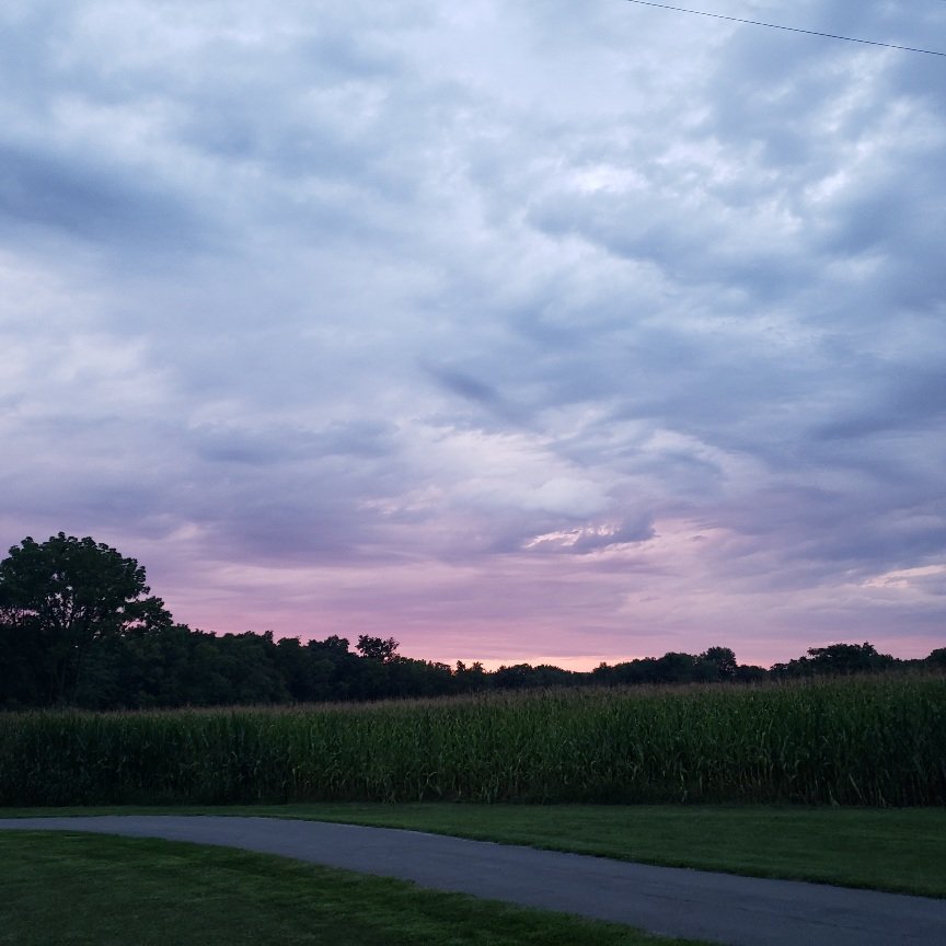 20220811_201904.jpg