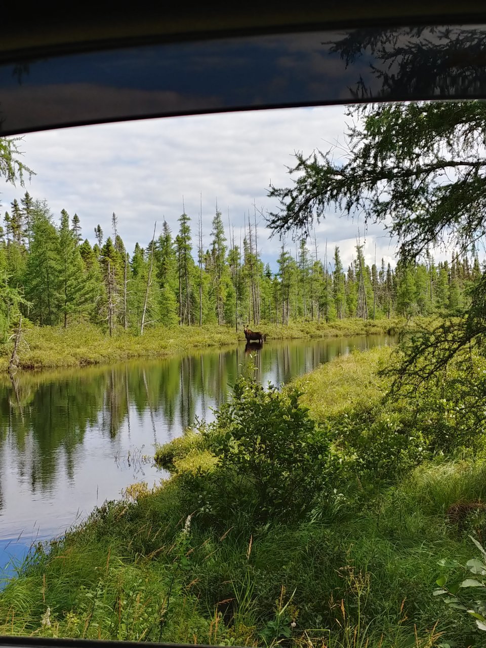 20220812_152535_HDR.jpg