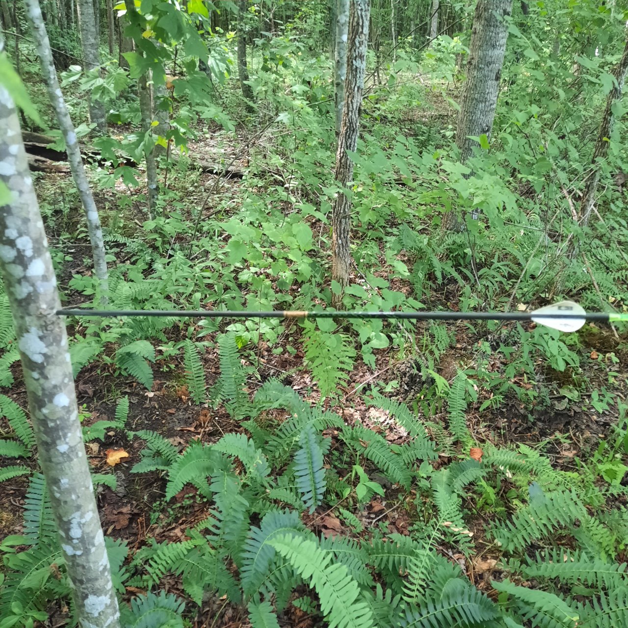 20220812_161259.jpg