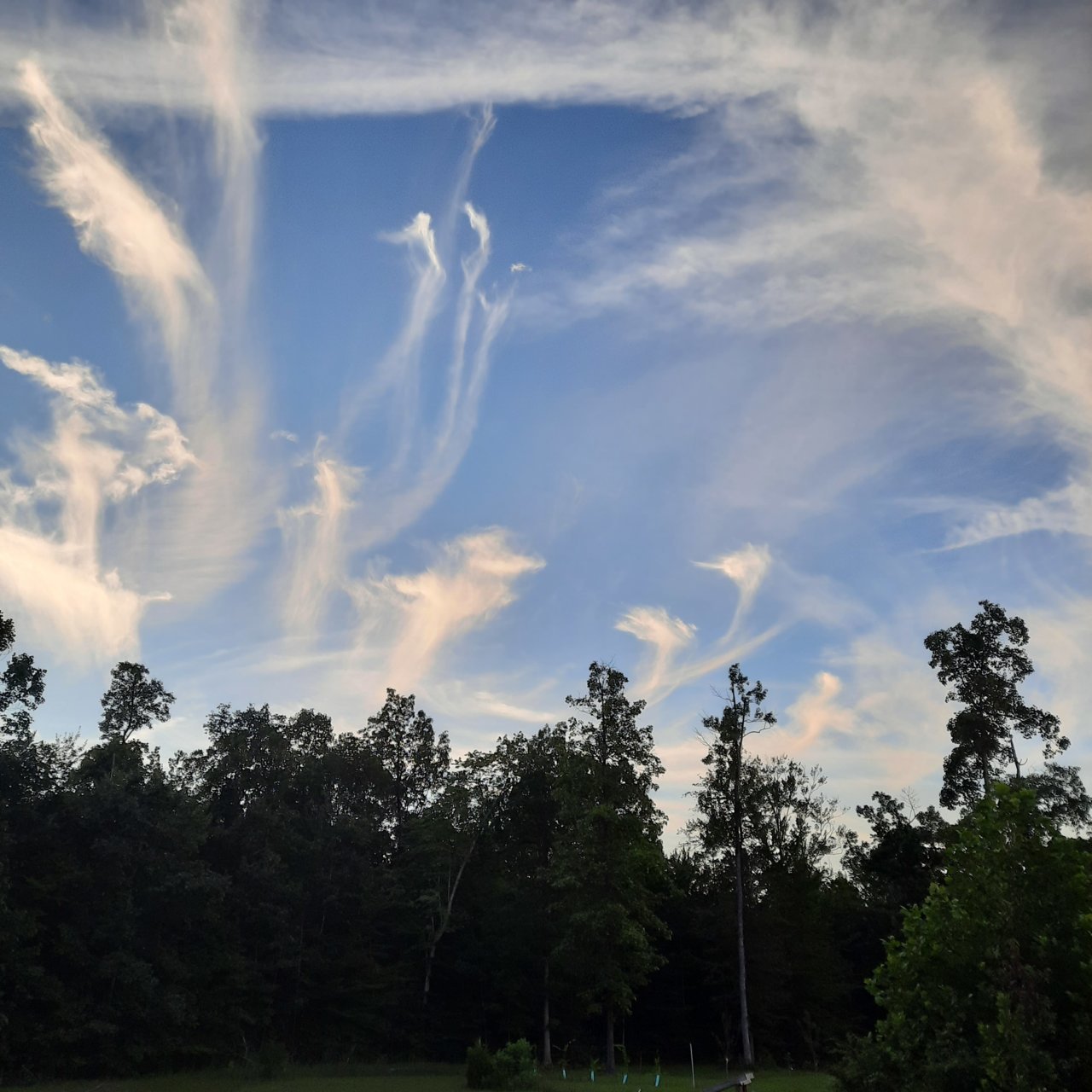 20220812_202340.jpg