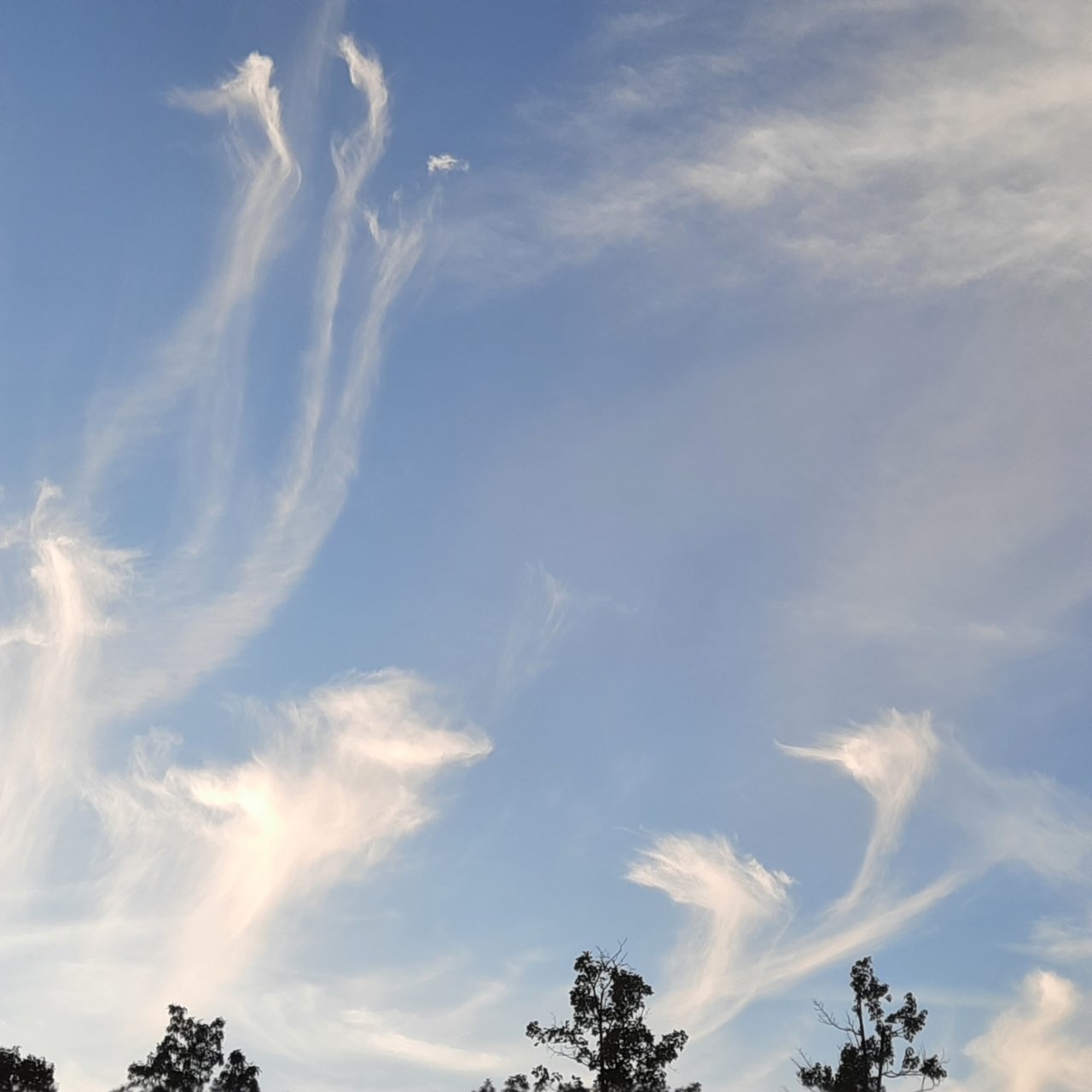 20220812_202347.jpg