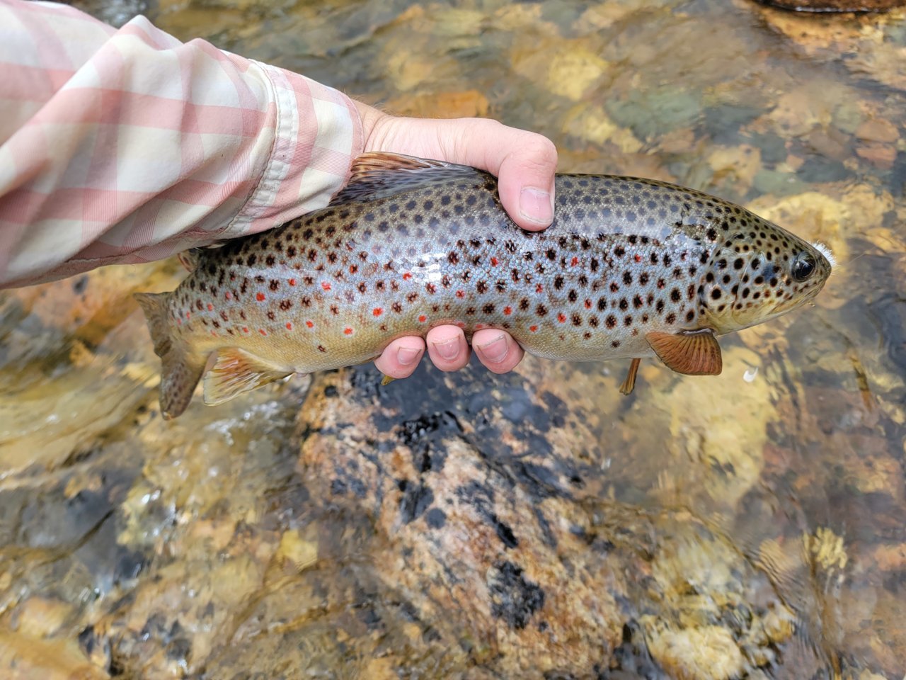 20220813_155736.jpg