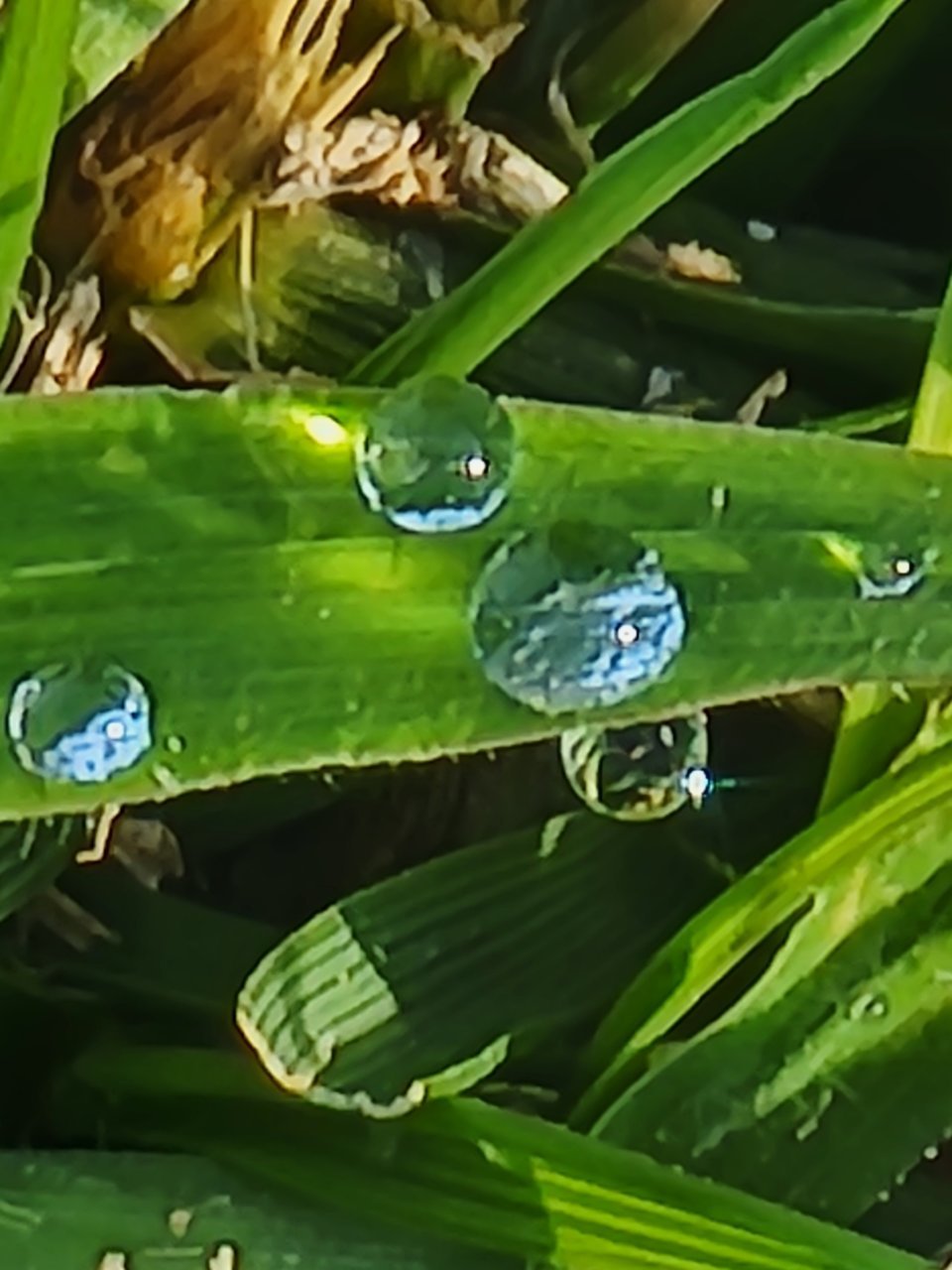 20220814_080830.jpg