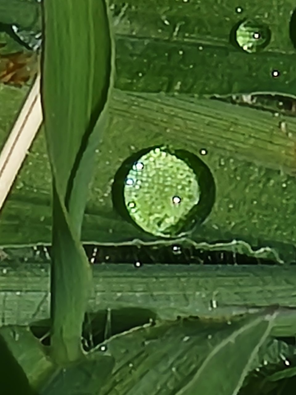 20220814_115154.jpg