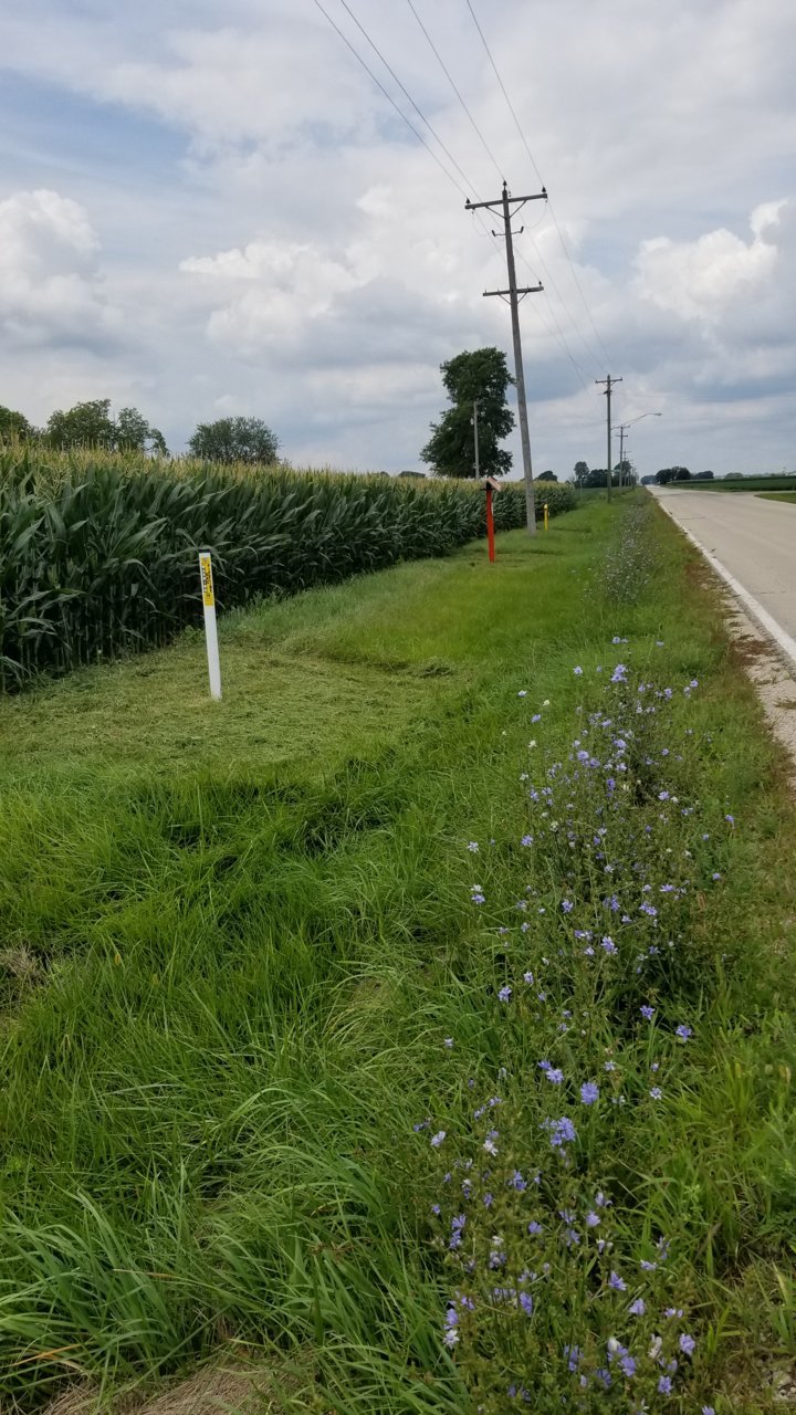 20220815_113441.jpg