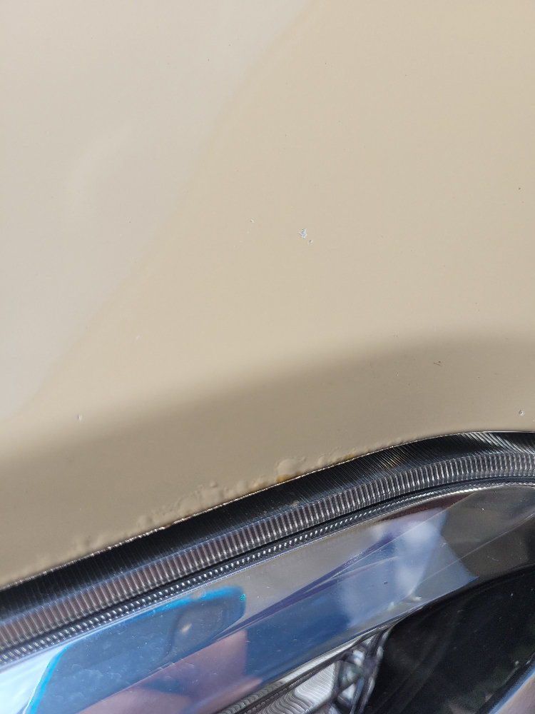 20220815_115959.jpg