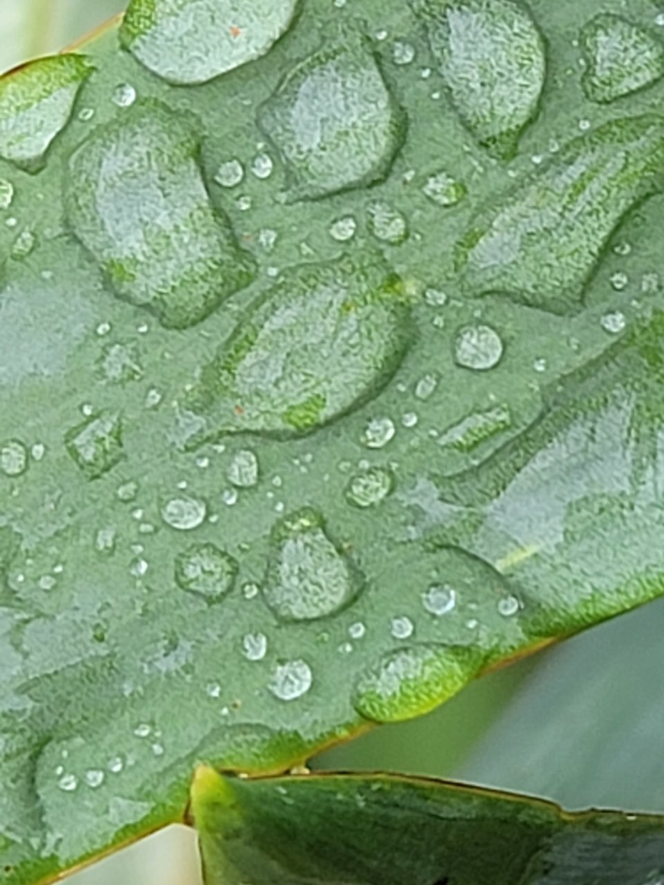 20220816_083257.jpg