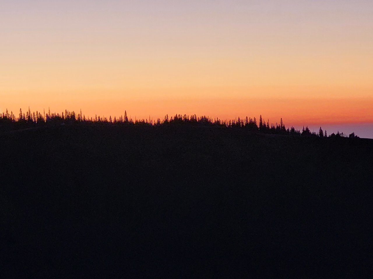 20220817_053646.jpg
