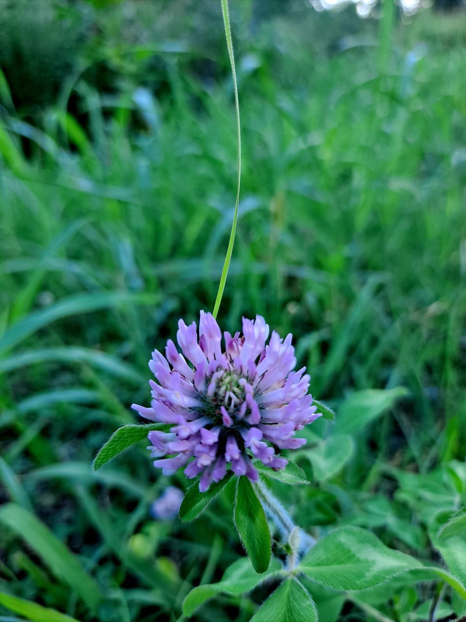 20220817_175454.jpg
