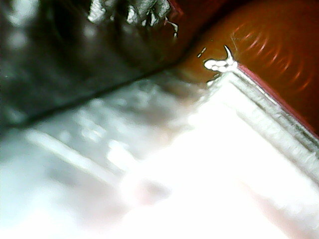 20220818_164451.jpg