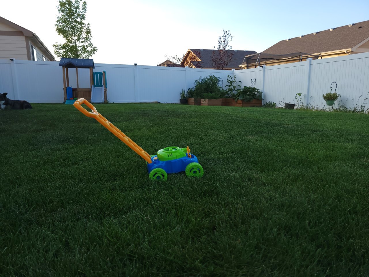 20220818_185934.jpg