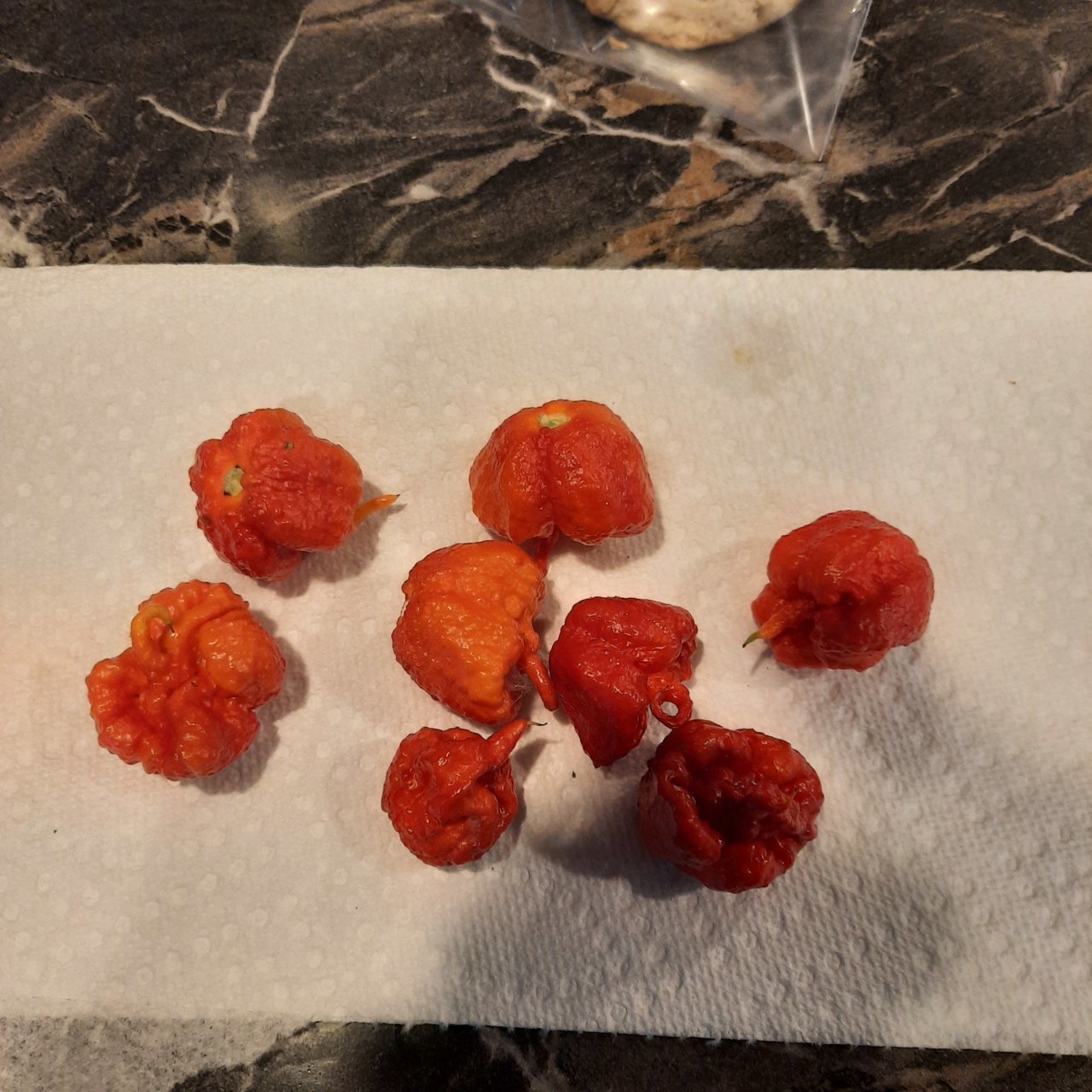 20220818_202023.jpg