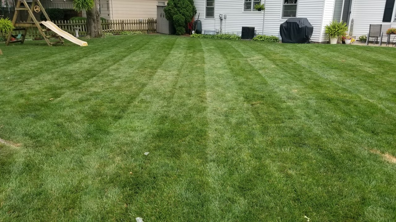 20220819_182955.jpg