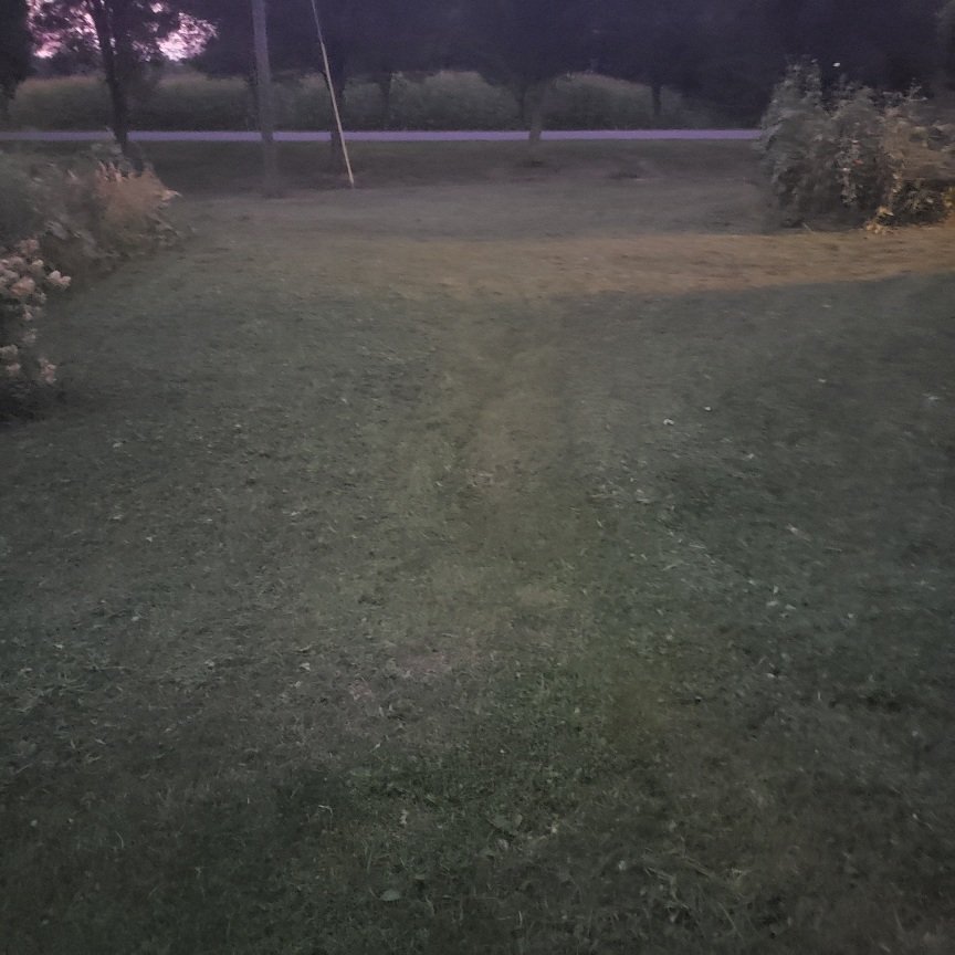 20220819_202556.jpg