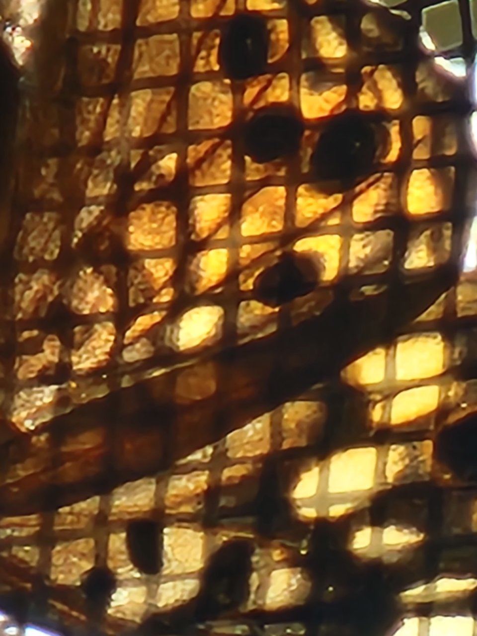 20220821_183929.jpg