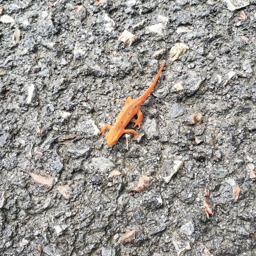 20220822_145421.jpg