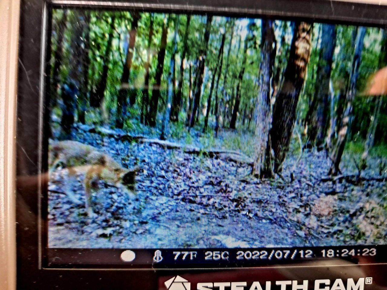 20220822_145823.jpg