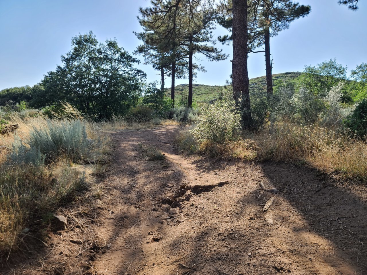20220822_163457.jpg