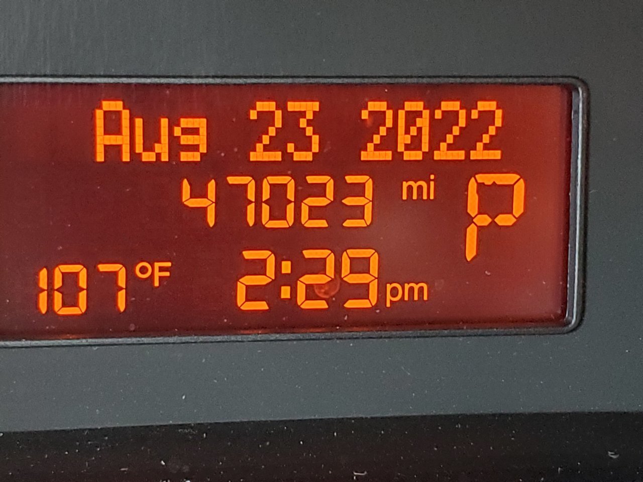 20220823_142925.jpg