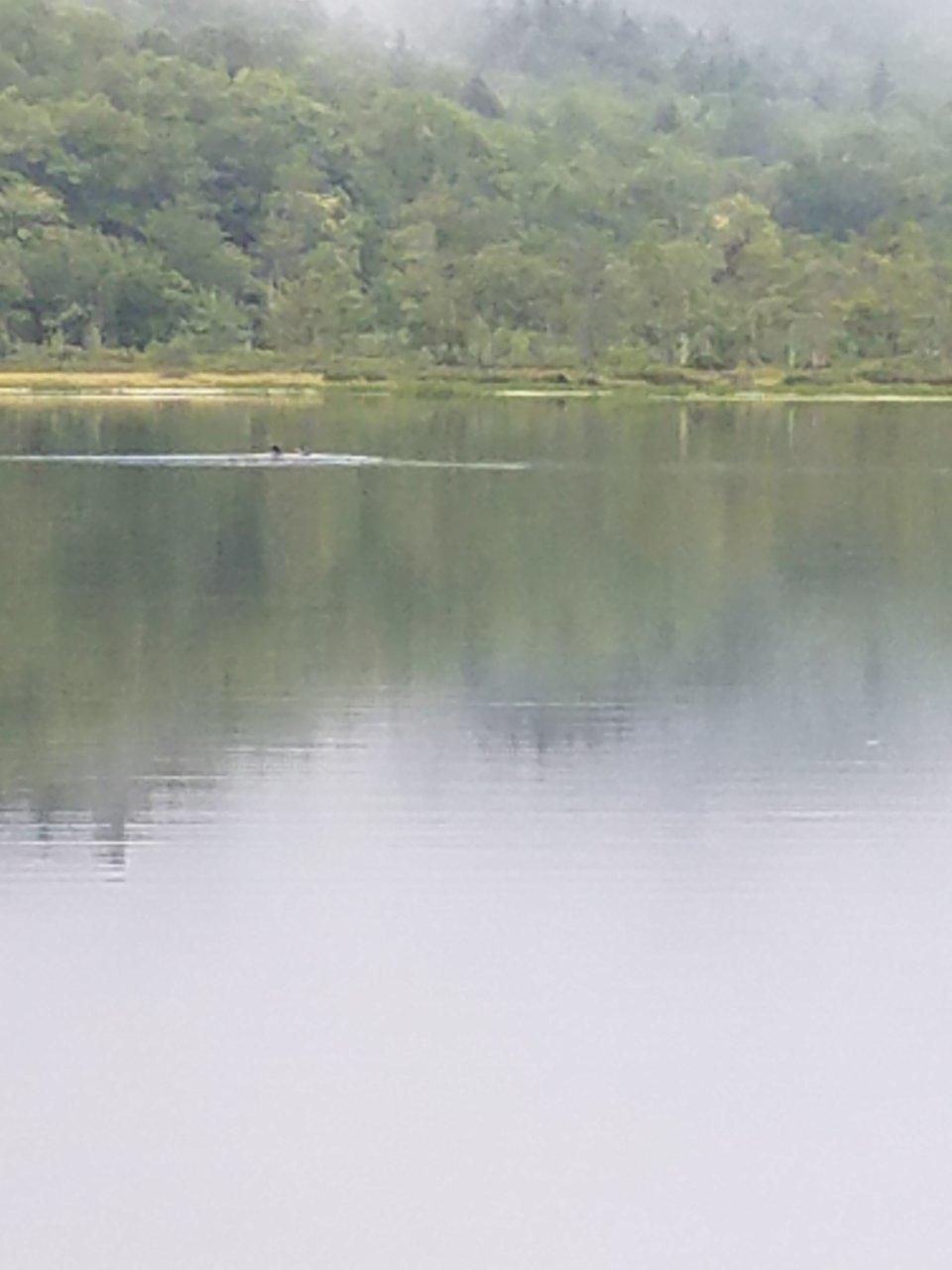 20220824_081456.jpg