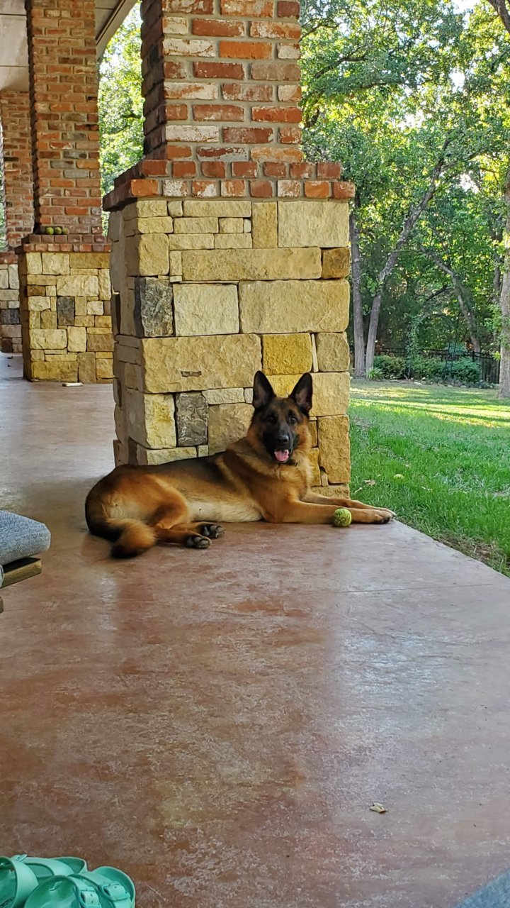20220824_174052.jpg