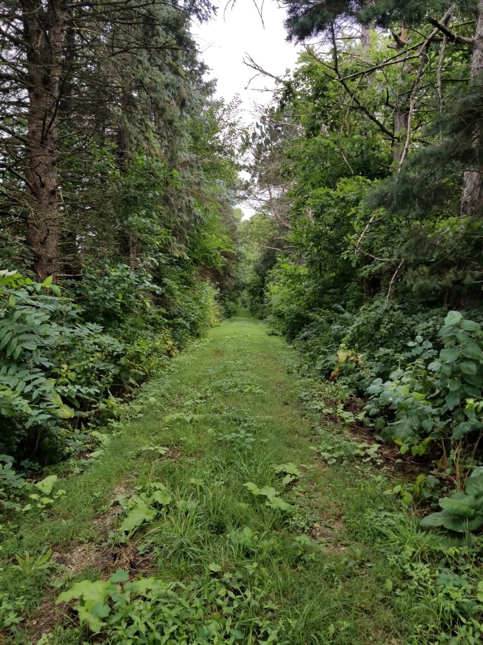 20220825_111437.jpg