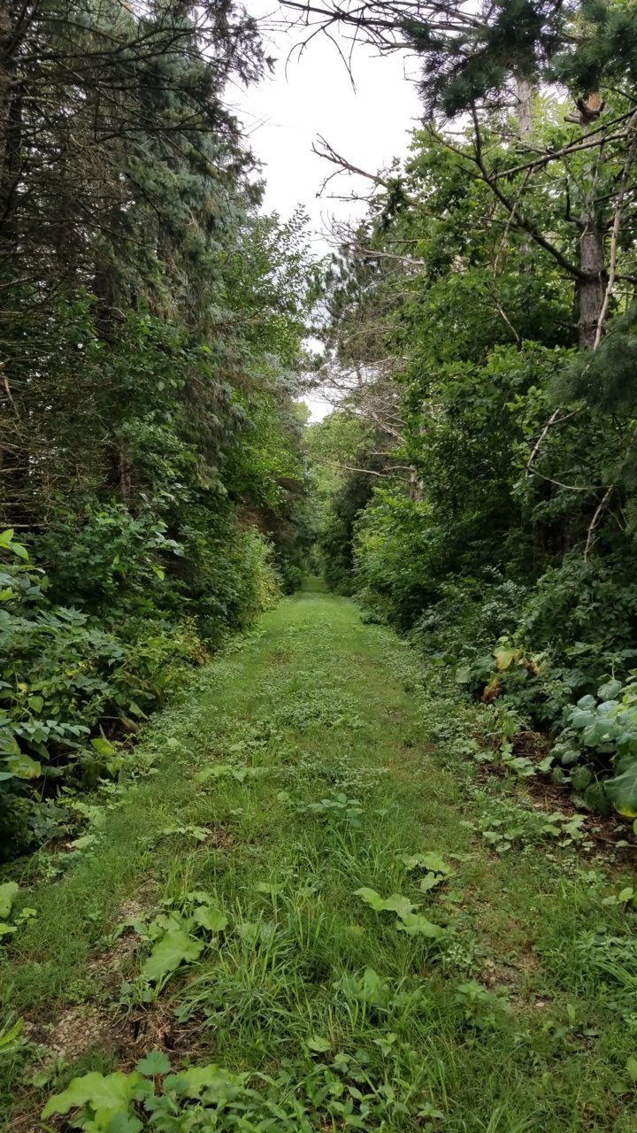 20220825_111900.jpg
