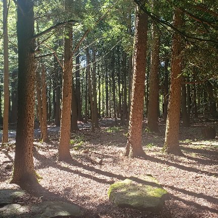 20220825_124409.jpg