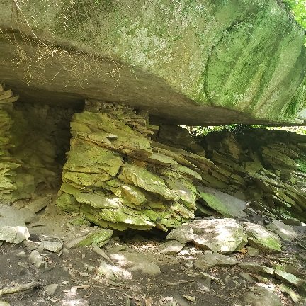 20220825_124639.jpg