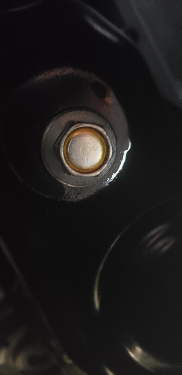 20220826_145011.jpg