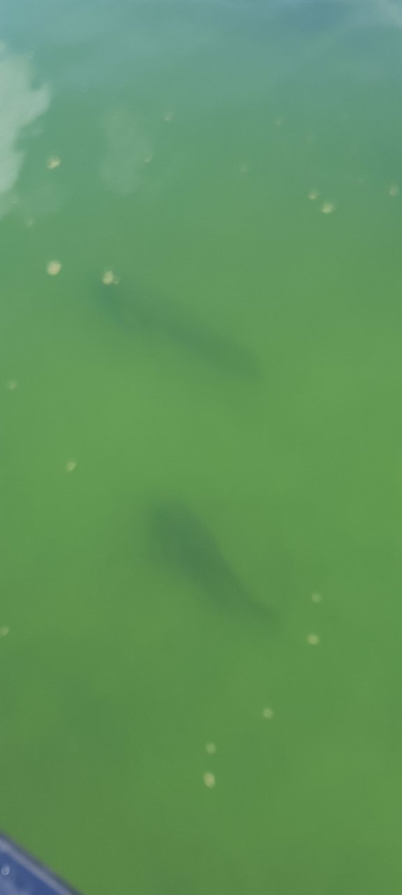 20220826_161549.jpg