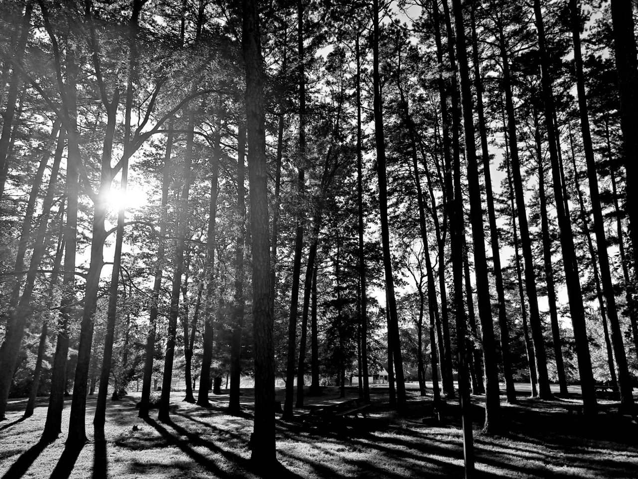 20220826_175125.jpg